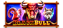 <p data-pm-slice=1 1 []>Run wild in our latest hit, Black Bull™! The 5x4 title features a different cash collection mechanic, as the cash bags can add value on each spin. When six or more gold coins hit the reels, the Free Spins will begin! The bonus is progressive, so Wilds, Free Spins and more can keep popping up as players roam the ranch in search of up to 4,500x winnings!</p>